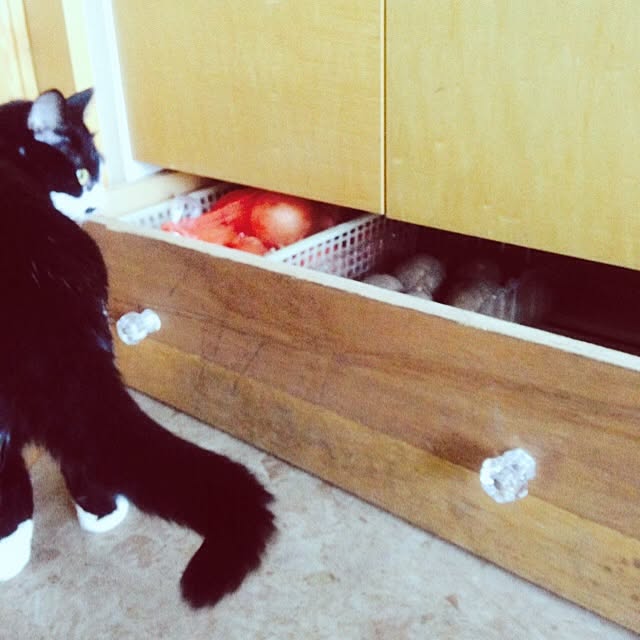 tomocchiさんの実例写真