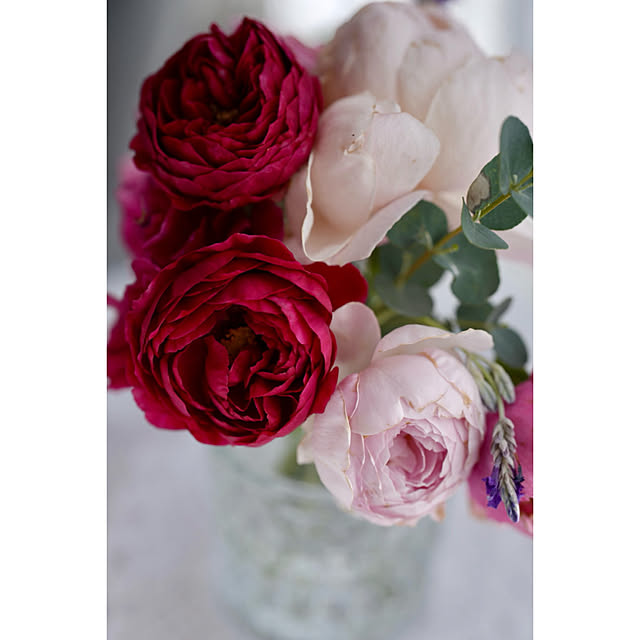 haruisabelさんの部屋