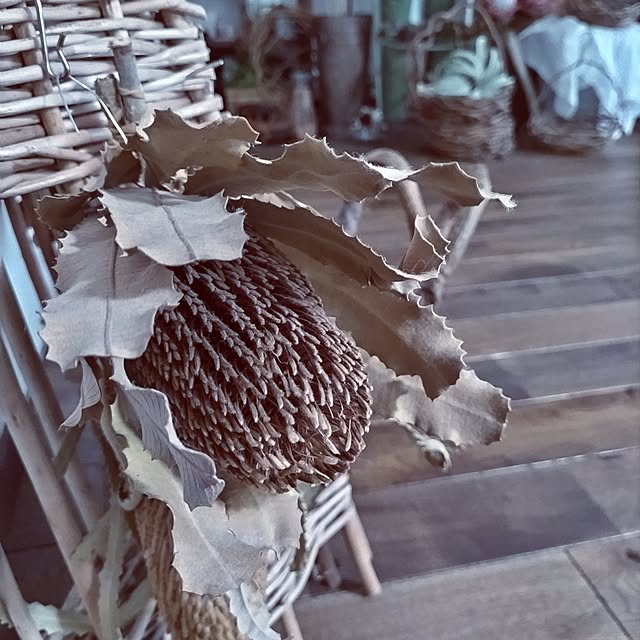 micaさんの部屋