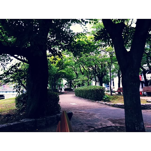 実例写真