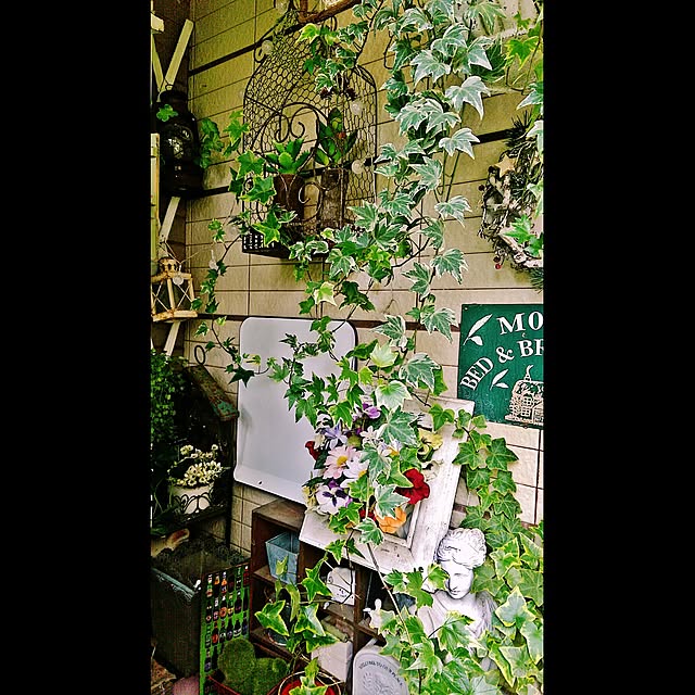 dreanさんの実例写真