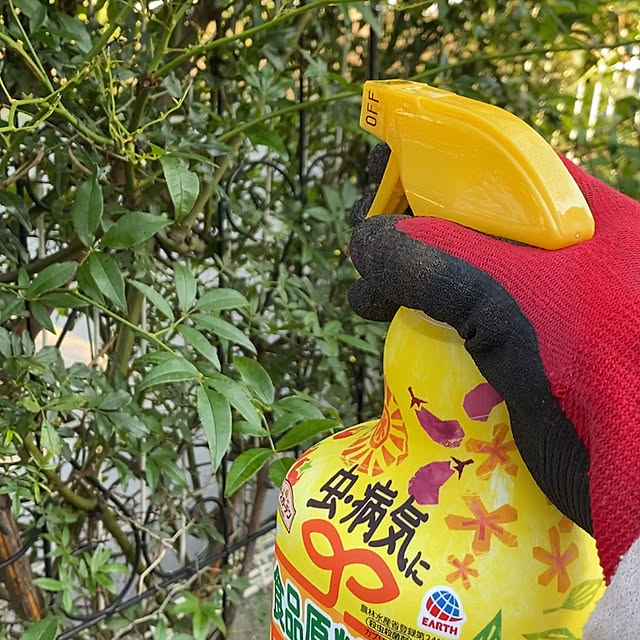 chIoeさんの部屋