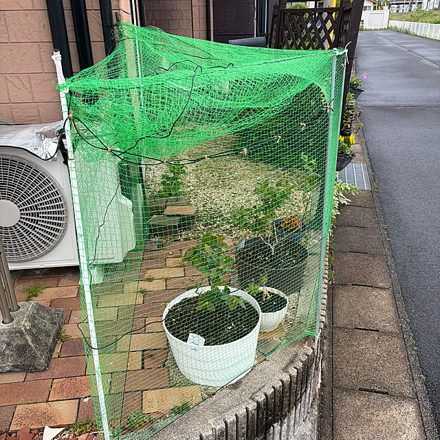 ritsukoさんの部屋