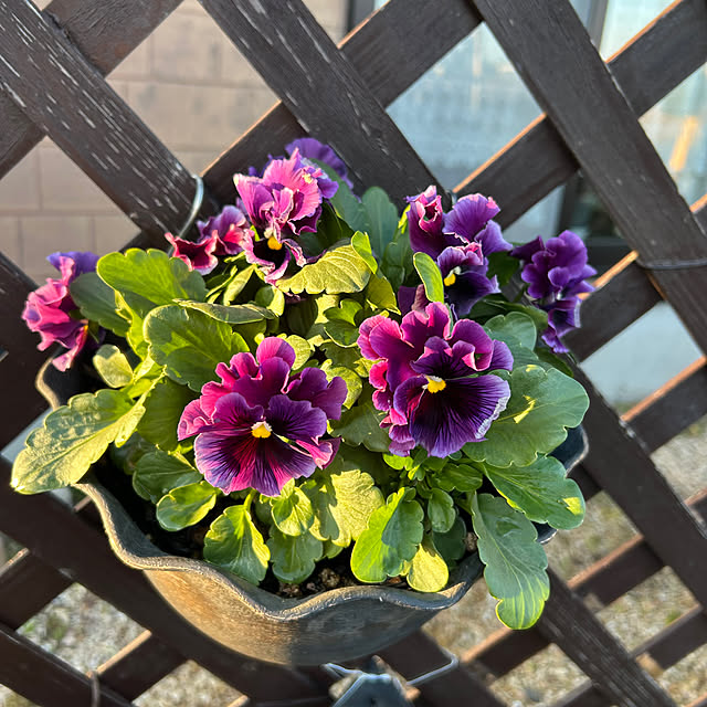 ritsukoさんの部屋