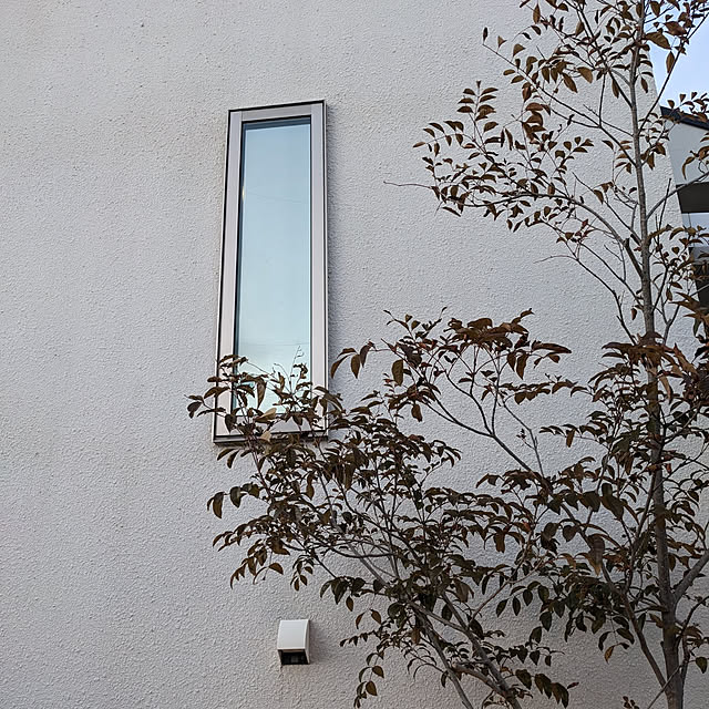 life_occasさんの実例写真