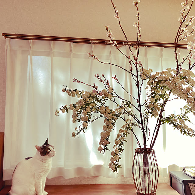 実例写真