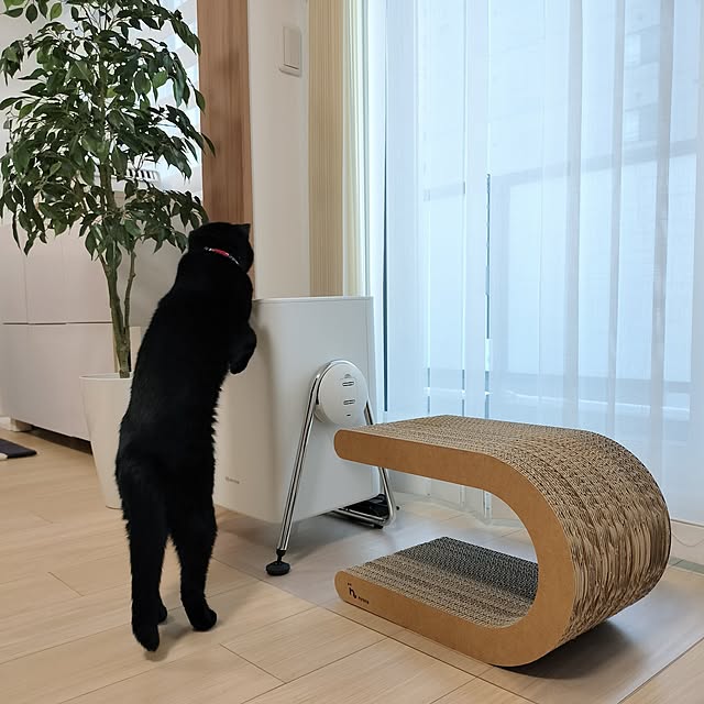 sakuraさんの部屋