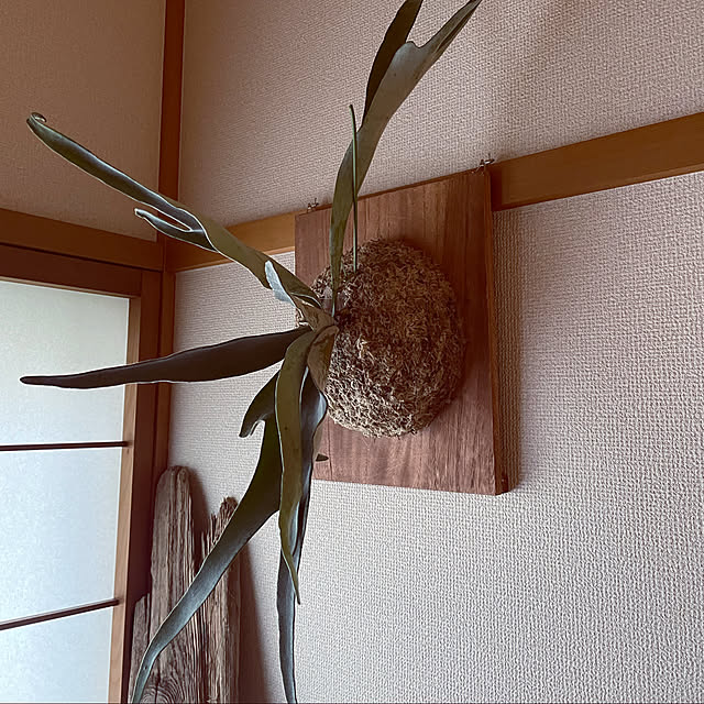 maru.さんの実例写真
