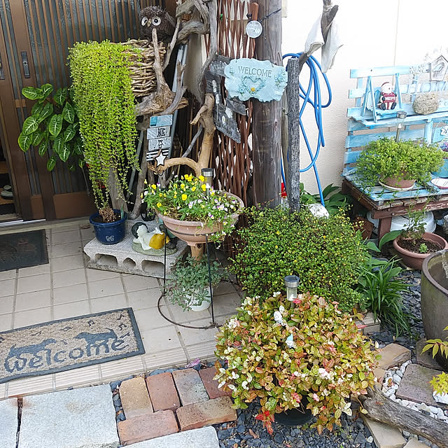 non.nonさんの実例写真