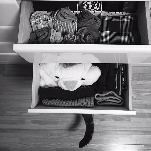 hiyupan88さんの実例写真