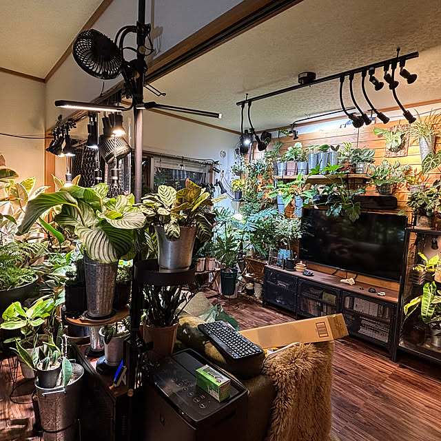 harumakiさんの実例写真