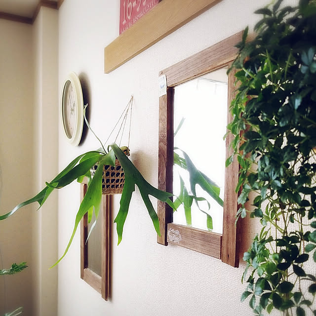 haruさんの実例写真