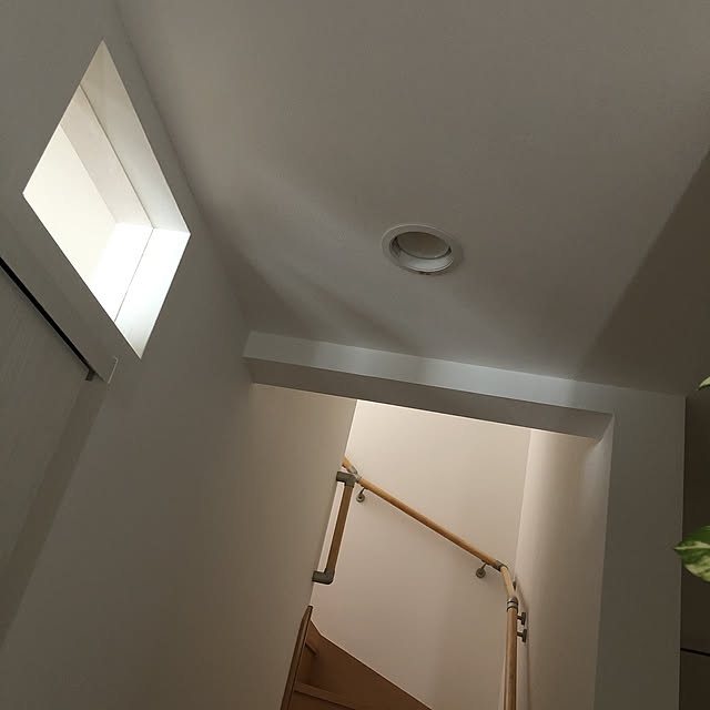 壁/天井のインテリア実例 - 2021-05-20 14:28:00