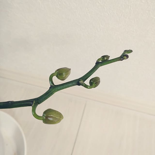 tan5さんの部屋