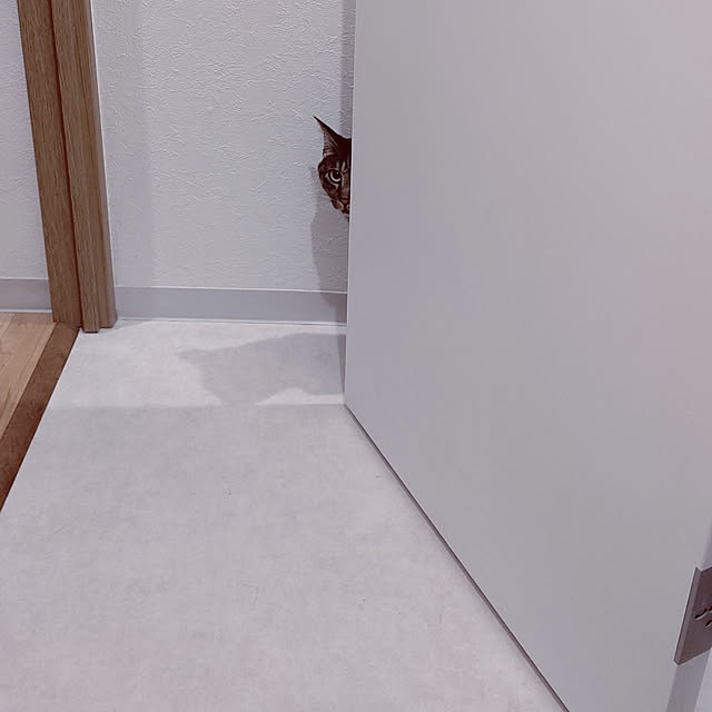 hihaさんの実例写真