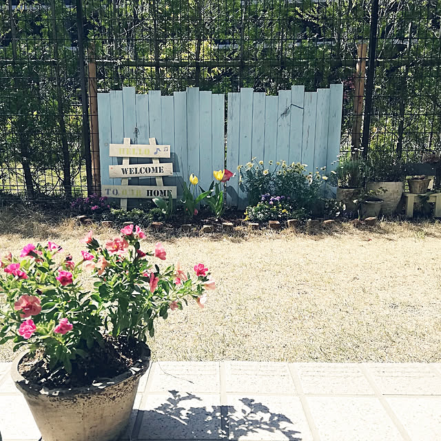 chippyさんの実例写真