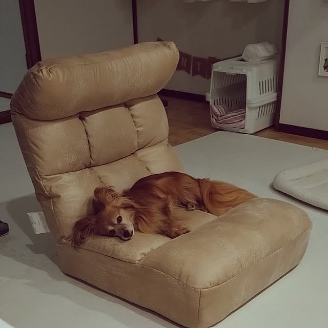 toratanさんの実例写真