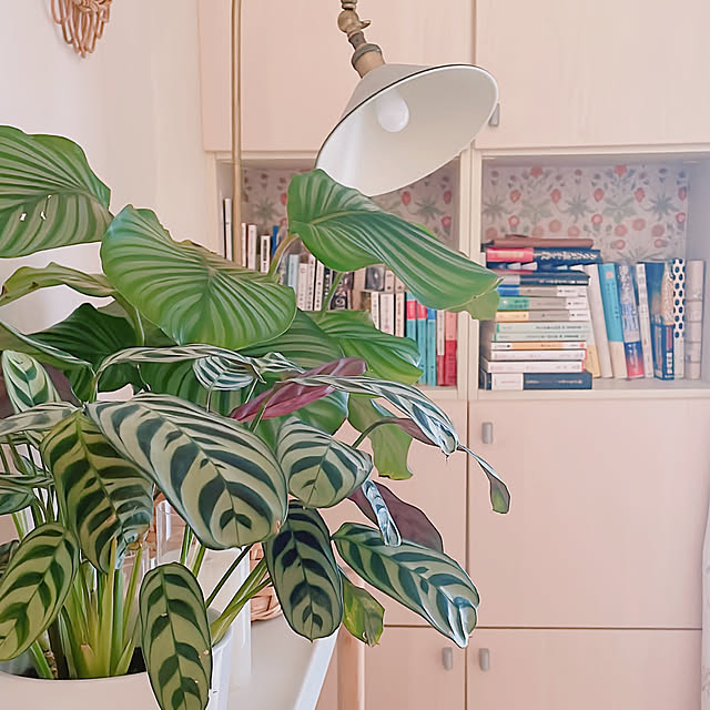 milkcocoaさんの部屋