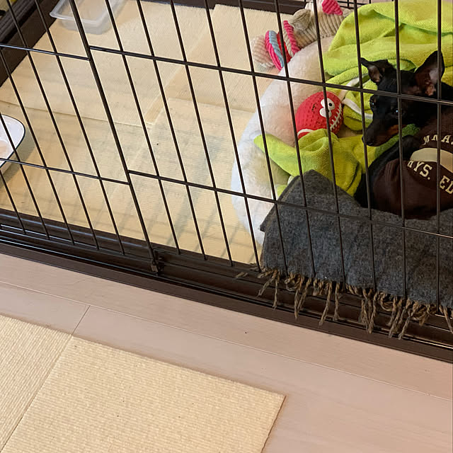 miyabiさんの実例写真