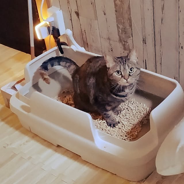 runaさんの部屋
