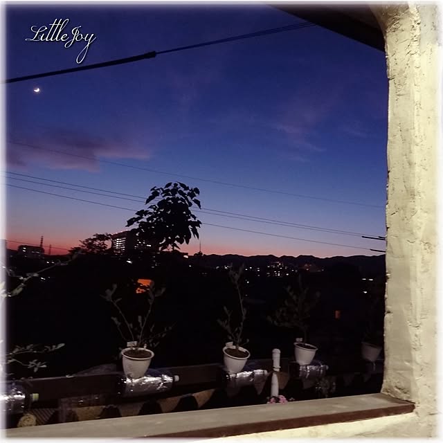 littlejoyさんの実例写真