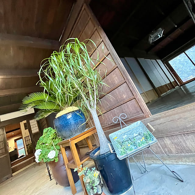 cotaさんの部屋