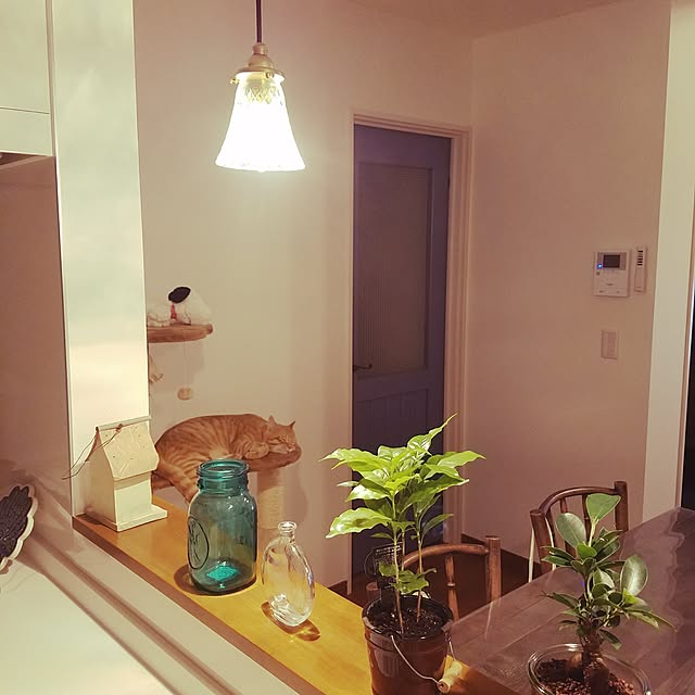 C.Tさんの実例写真