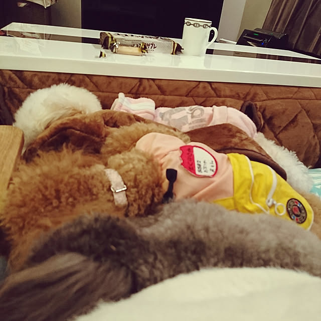marron_milk_kuromameさんの実例写真