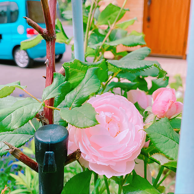 NAONAOさんの実例写真