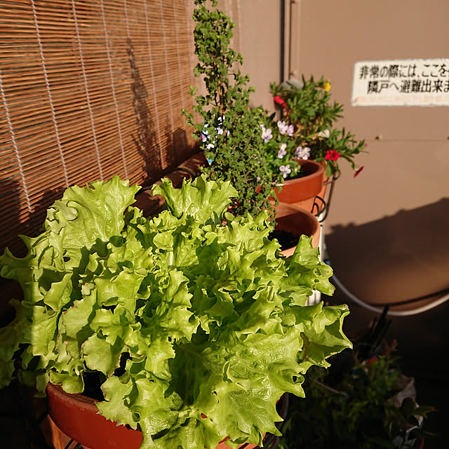 hopkeiさんの実例写真