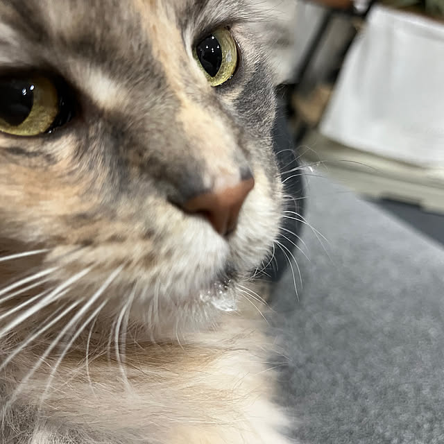 mayumiさんの部屋