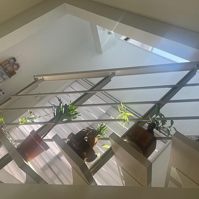naotokahoさんの部屋