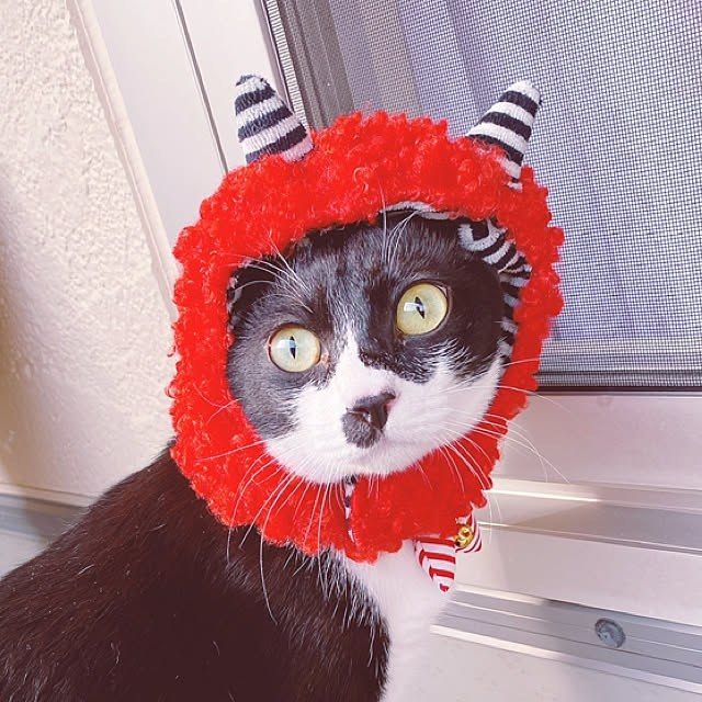 moolさんの実例写真