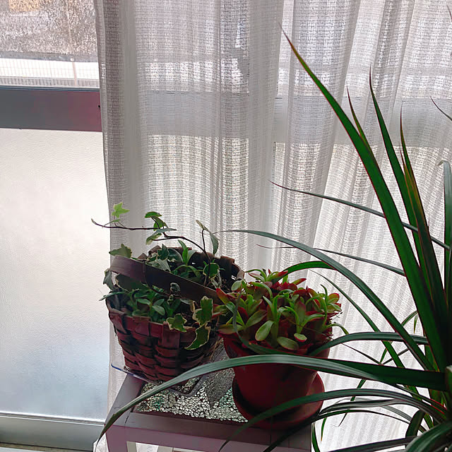 Malamaさんの実例写真