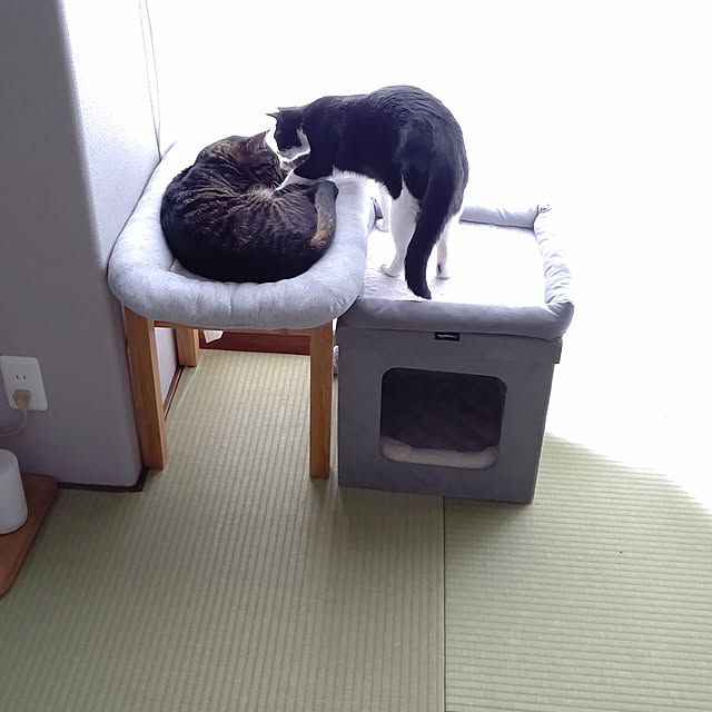 hihaさんの実例写真