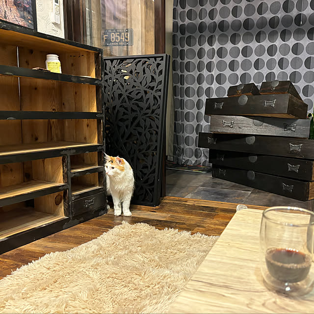 Mikazukiさんの部屋