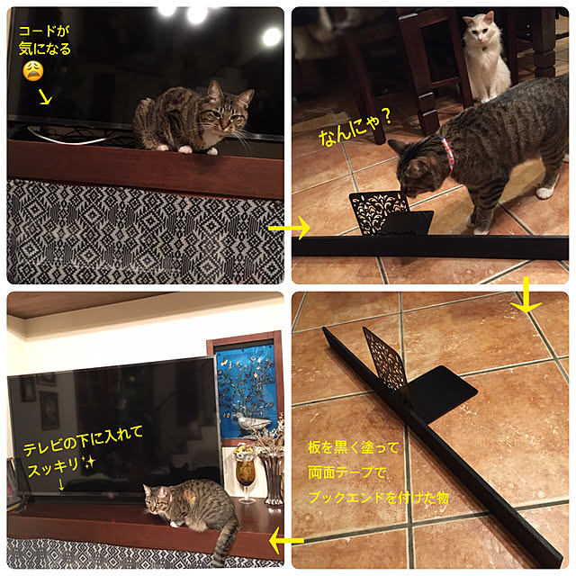 shigimiさんの実例写真
