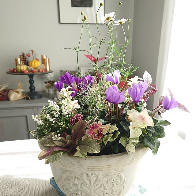 mayuroseさんの実例写真