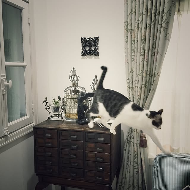 yuchiさんの実例写真