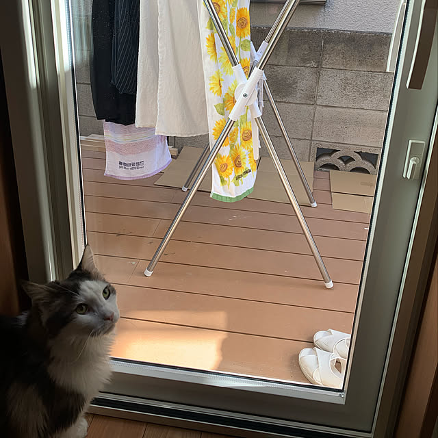 masakoさんの実例写真