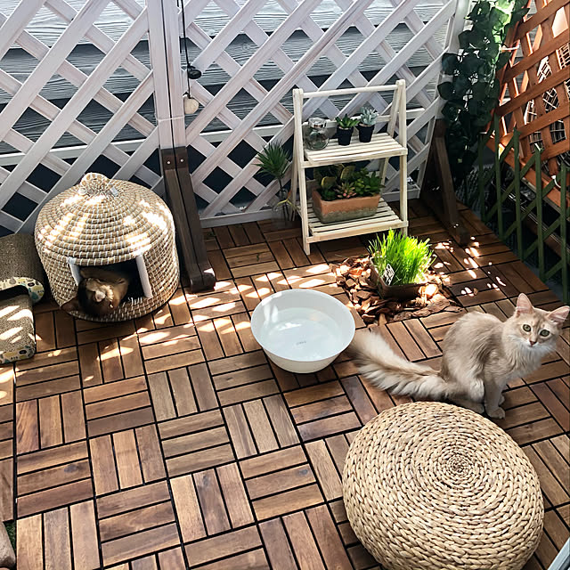 paradise_viewさんの実例写真