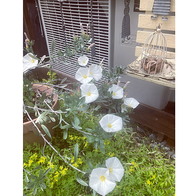 CoCo0617さんの部屋