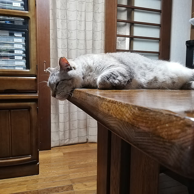 Hotaruさんの実例写真