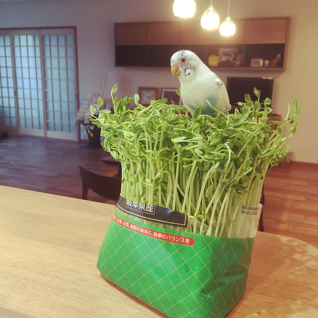 kayoさんの実例写真