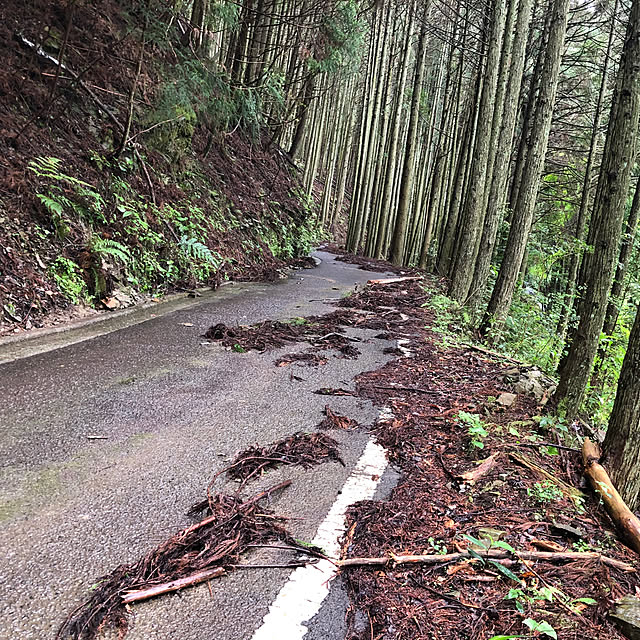 mama-mammothさんの実例写真