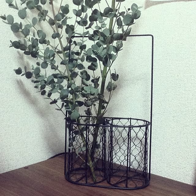 geshikoさんの実例写真
