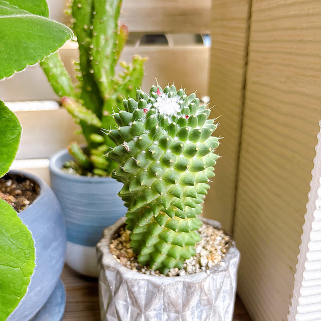 okkunさんの部屋