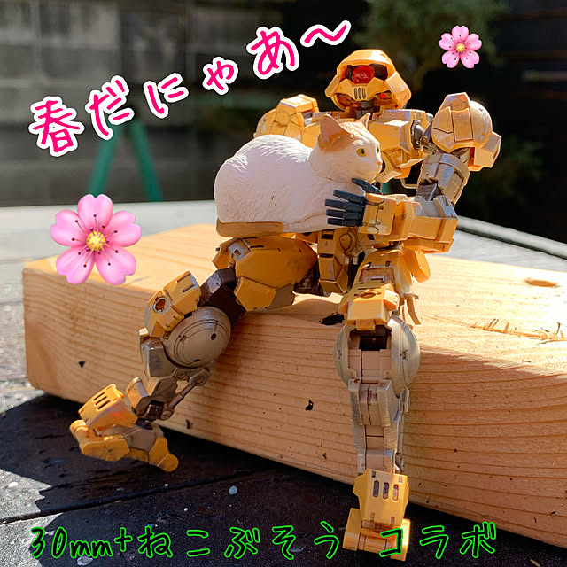 shunityさんの実例写真