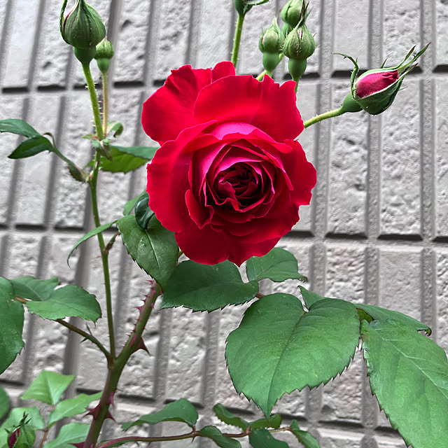 tinkunさんの部屋