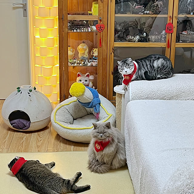 Allen0509さんの部屋